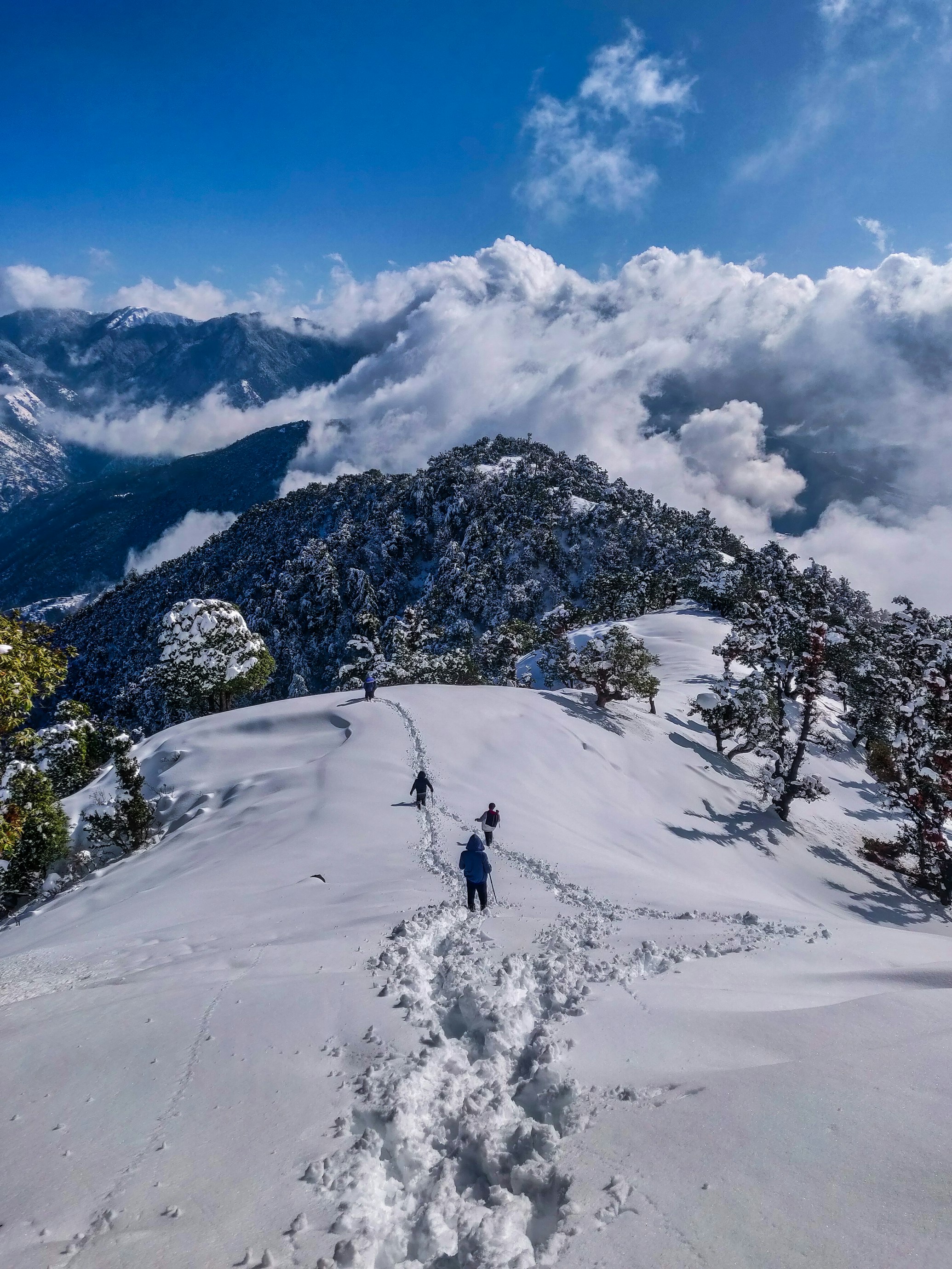 The Ridge, Shimla